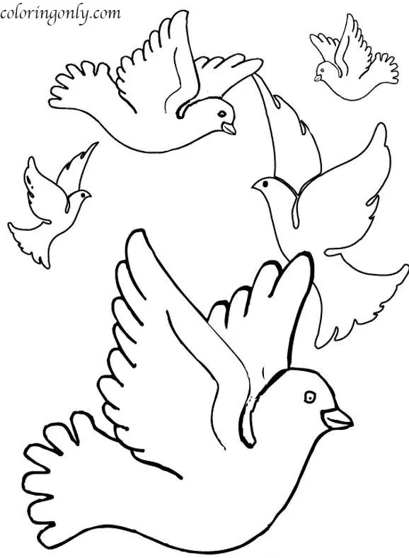 Flock of Pigeons Färbung Seite - Kostenlose druckbare Malvorlagen für ...