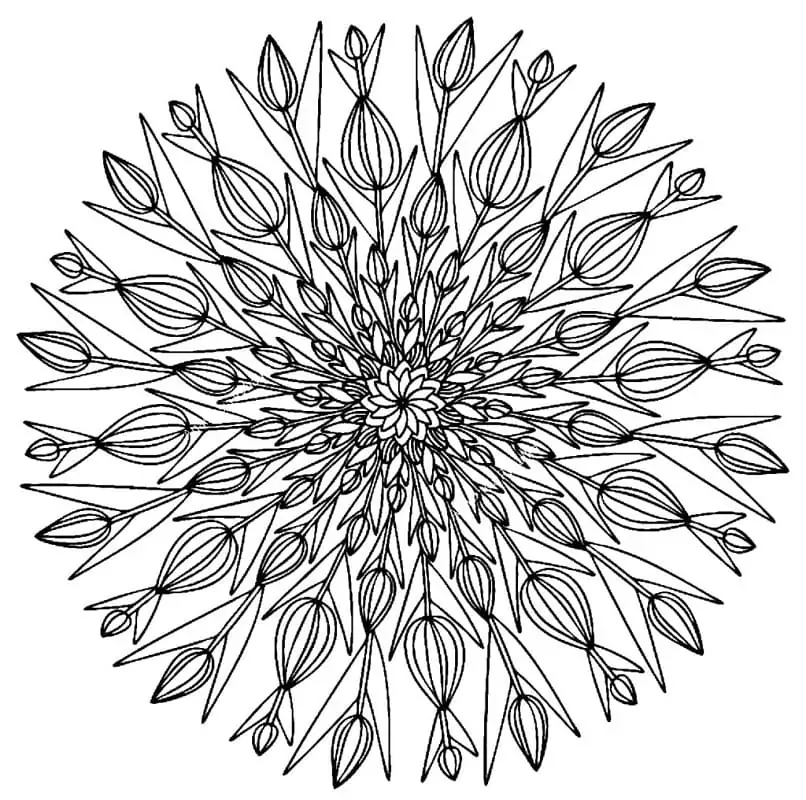 Flower Mandala 22