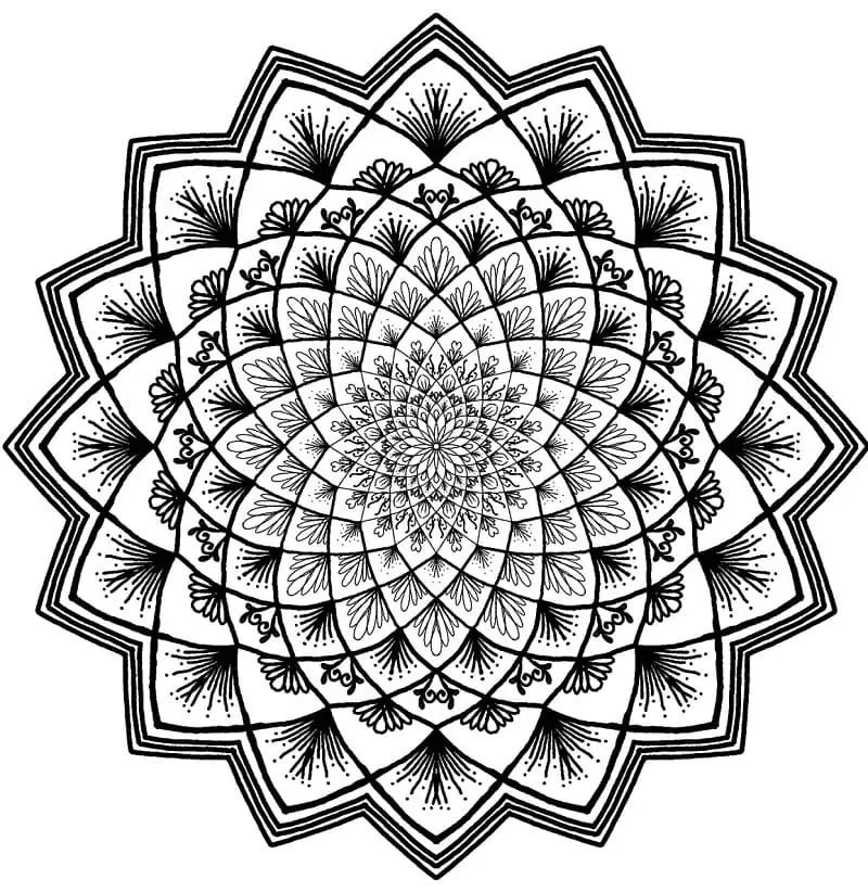 Flower Mandala 6