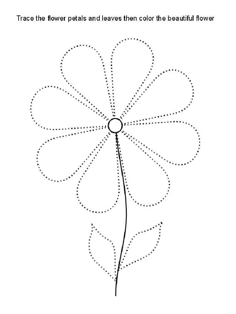 Flower Tracing
