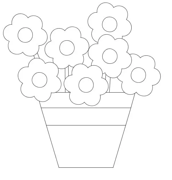 Flowers in Pot