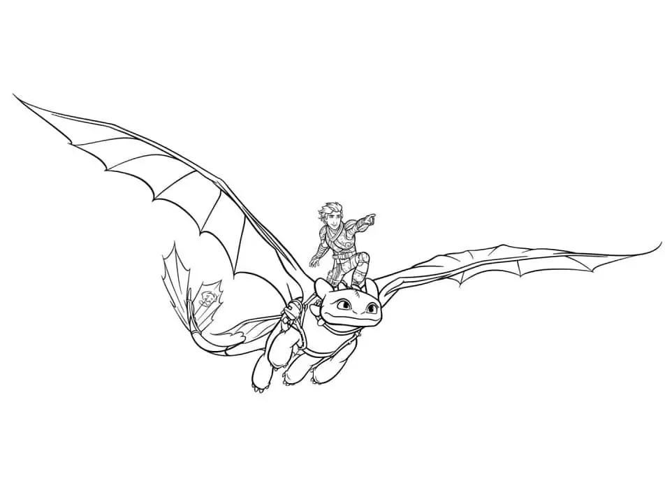 Flying Hiccup and Toothless
