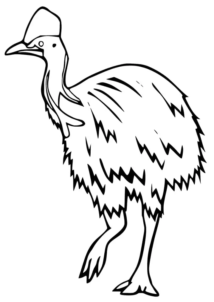Cassowary Coloring Page