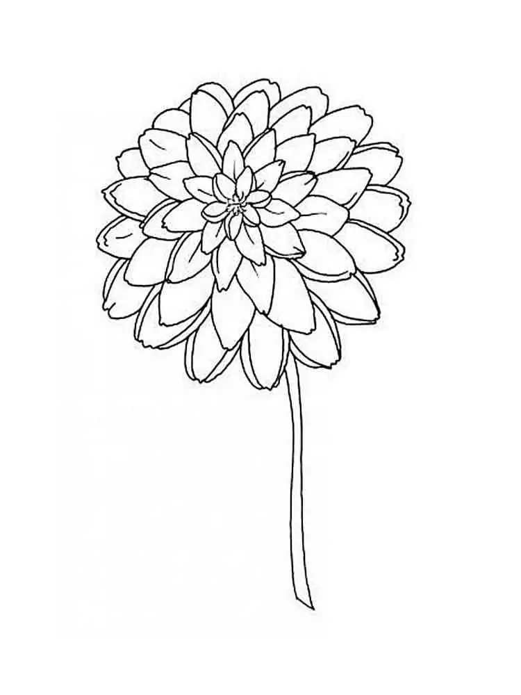Free Dahlia Flower
