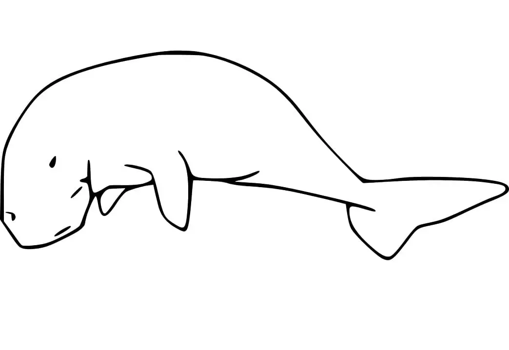 Free Dugong