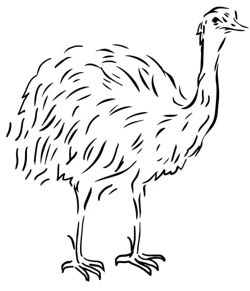 Free Emu