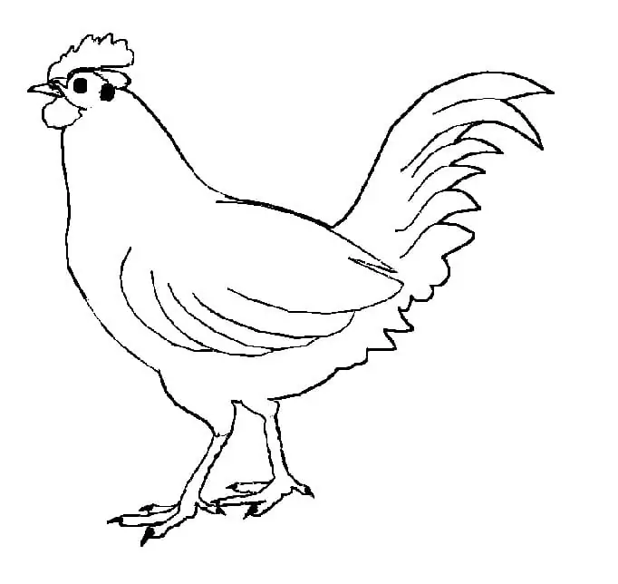 Free Printable Chicken