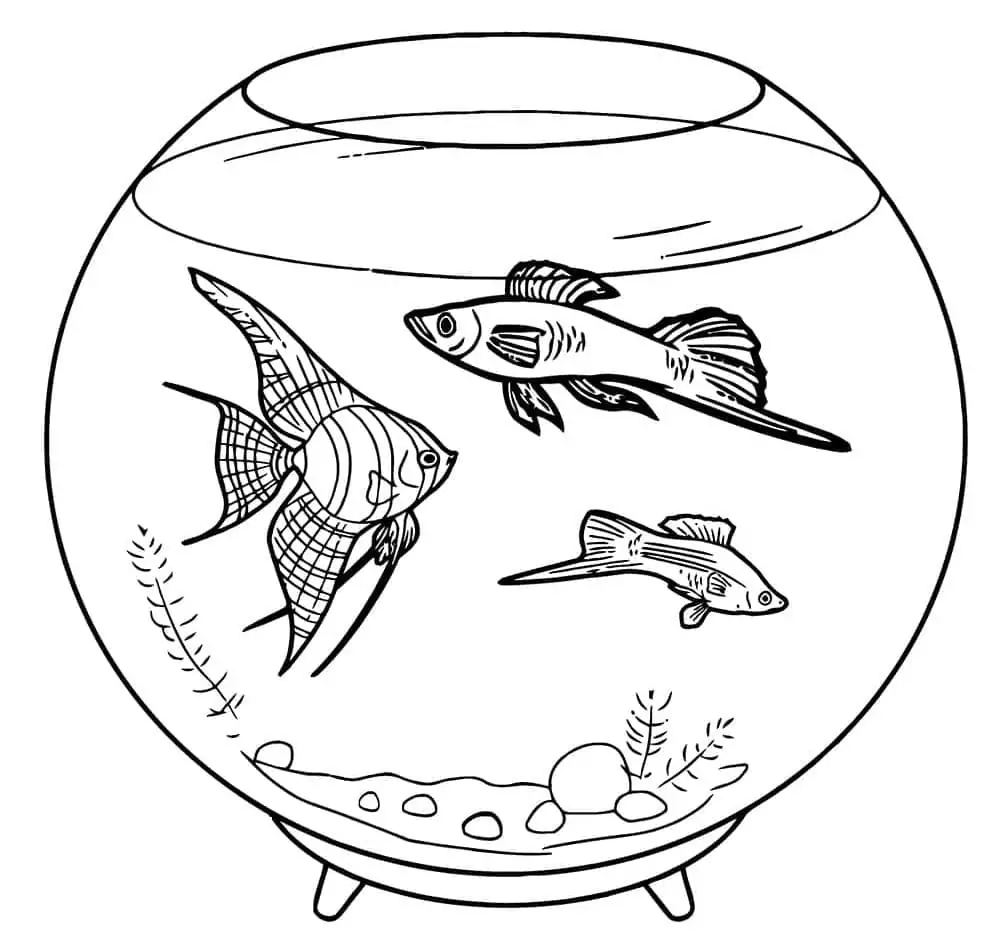 Free Printable Fish Bowl
