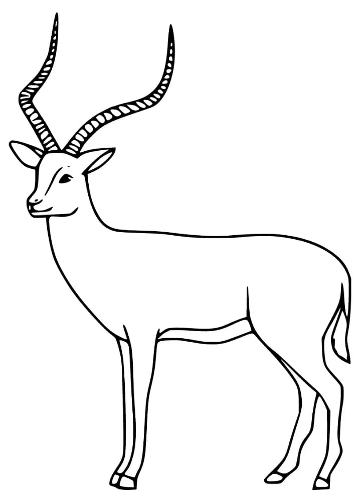 Free Printable Impala