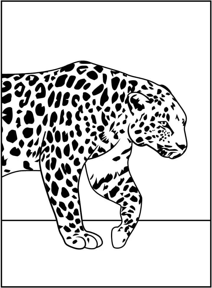 Free Printable Leopard