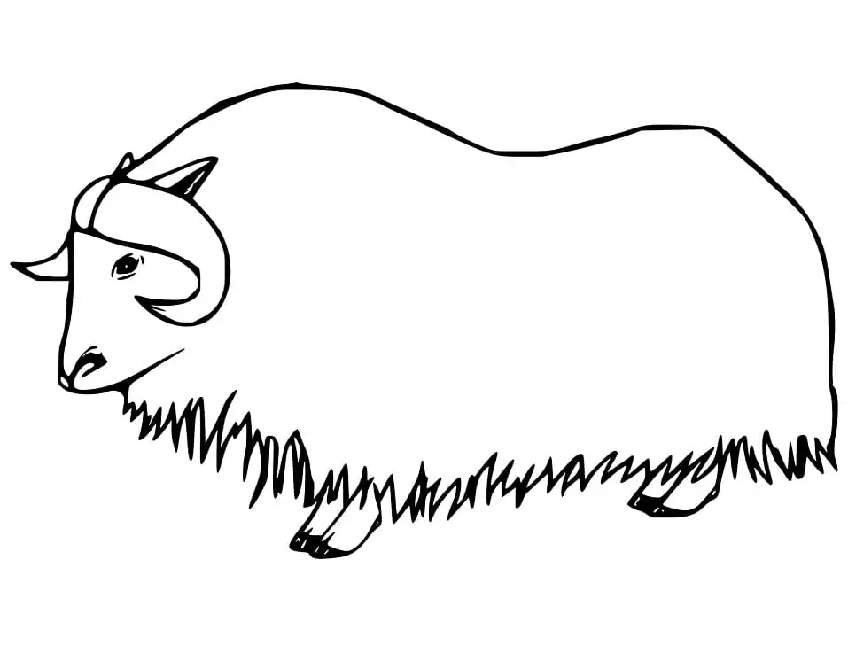 Free Printable Musk Ox - Coloring Pages
