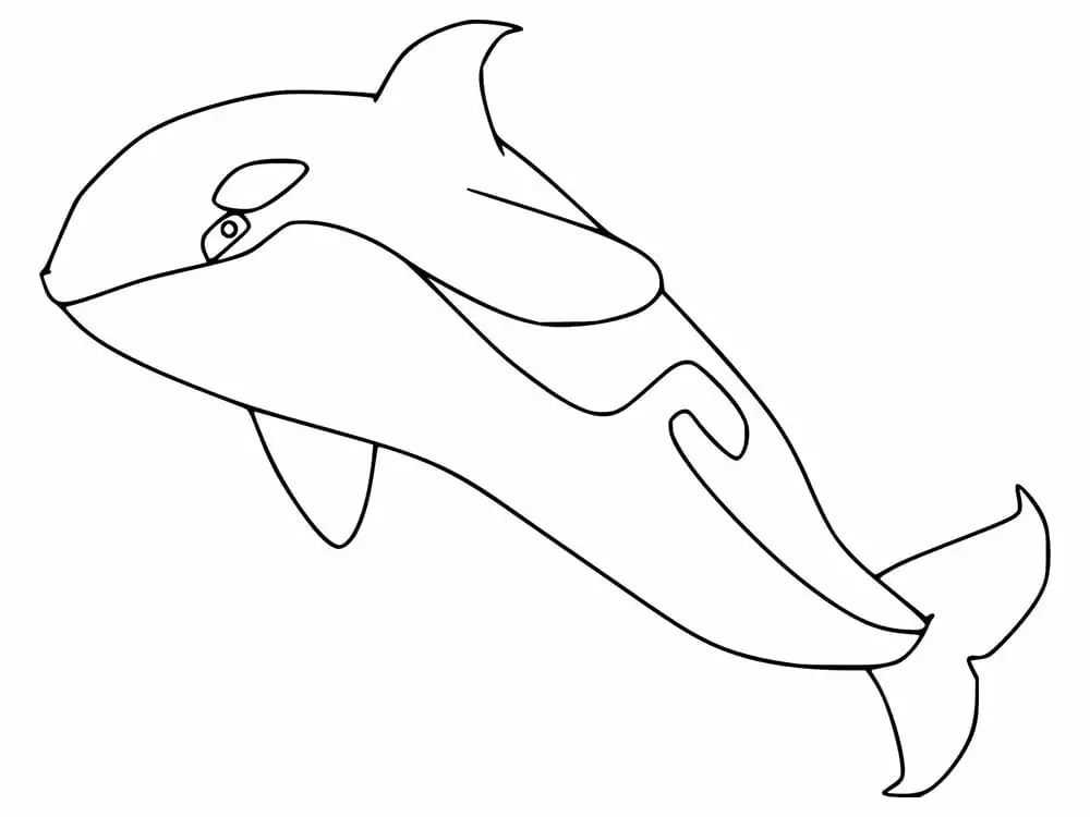 Free Printable Orca Whale