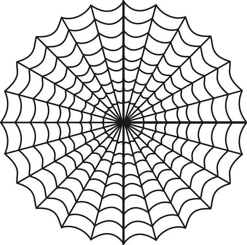 Free Printable Spider Web