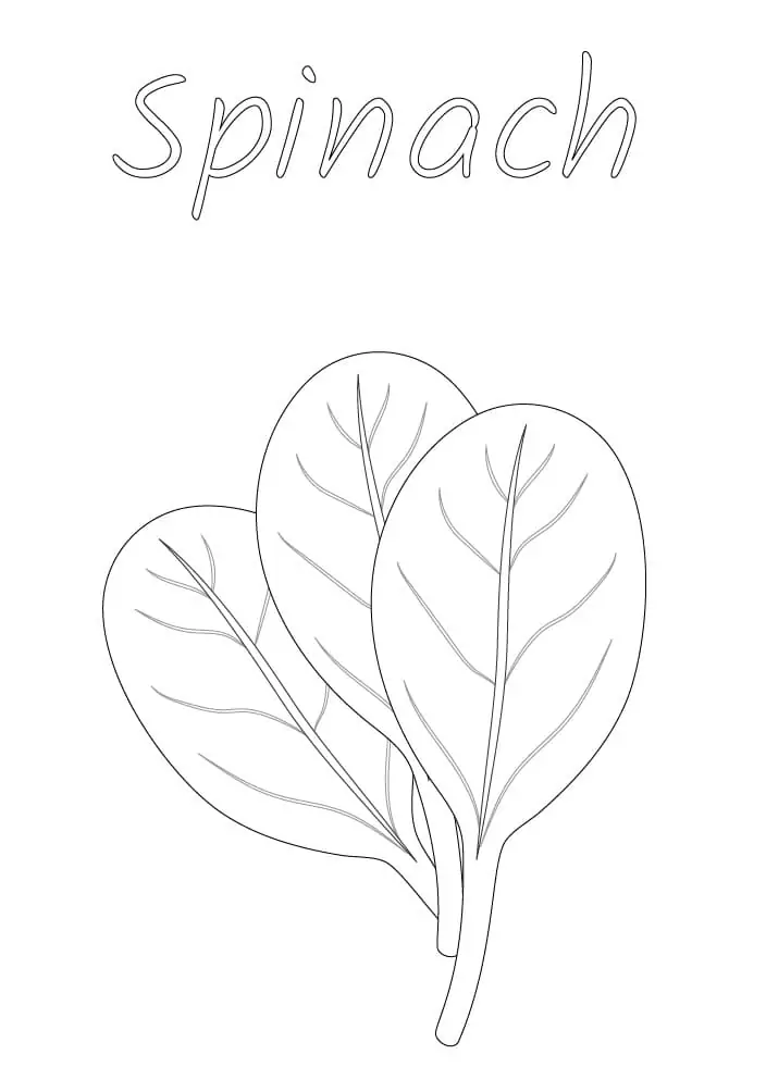 Bunch of Spinach Coloring Page - Free Printable Coloring Pages for Kids