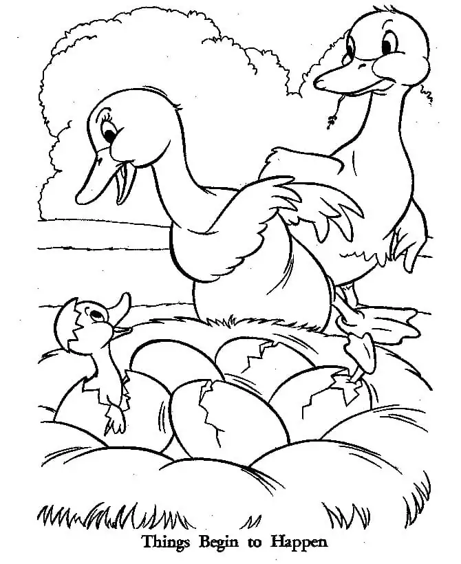 Free Printable The Ugly Duckling