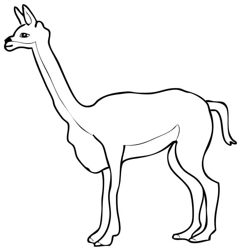 South America Vicuna Coloring Page - Free Printable Coloring Pages for Kids