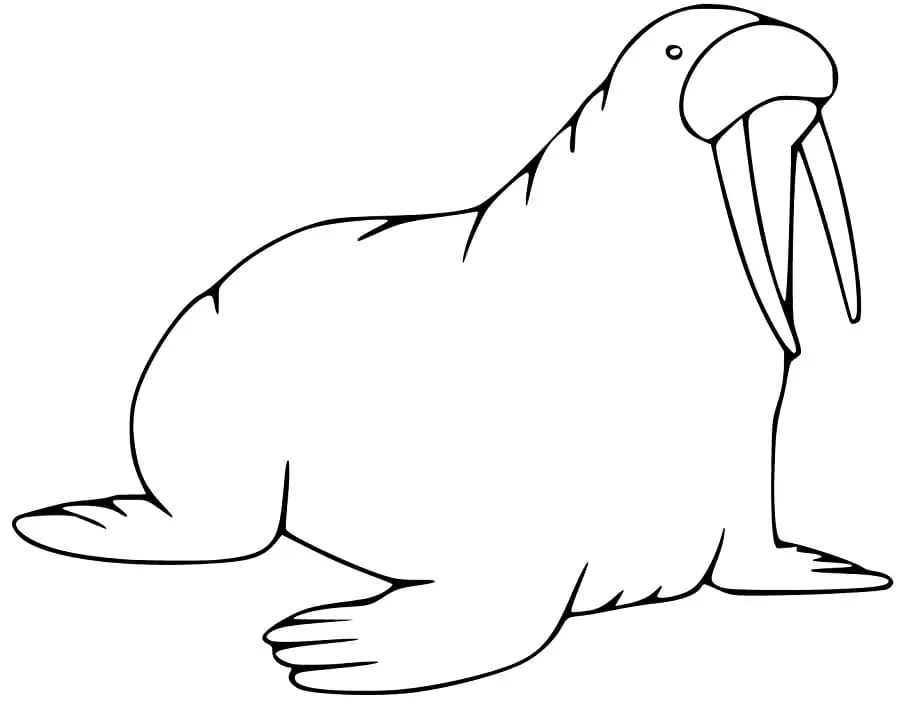 Free Walrus