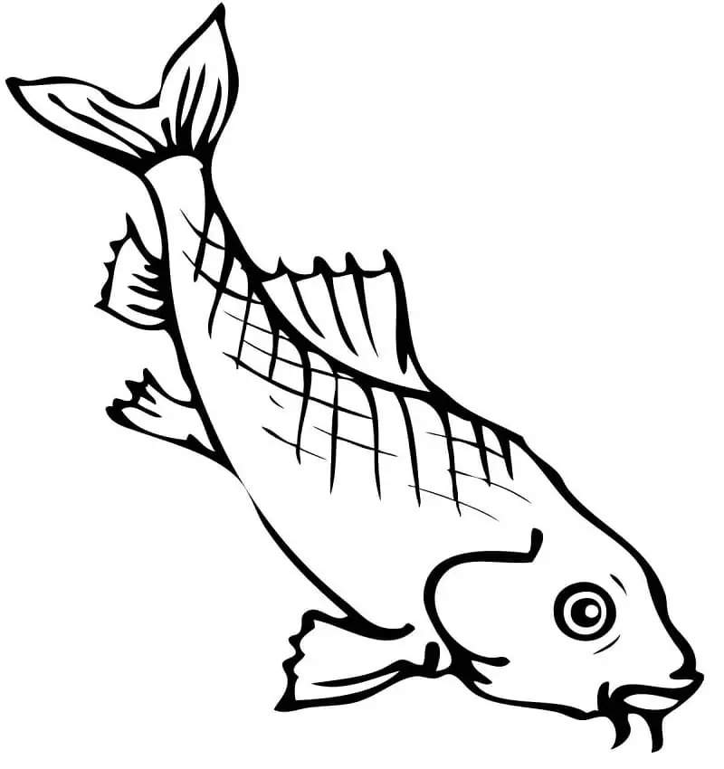 A Koi Carp Coloring Page - Free Printable Coloring Pages for Kids