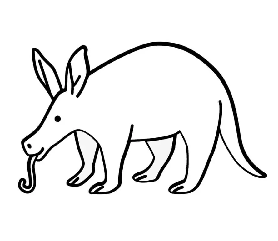 Funny Aardvark