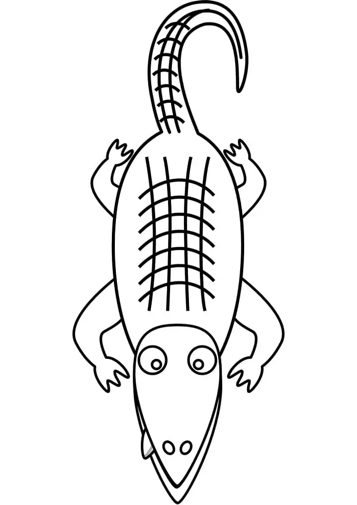 Lustiger Alligator