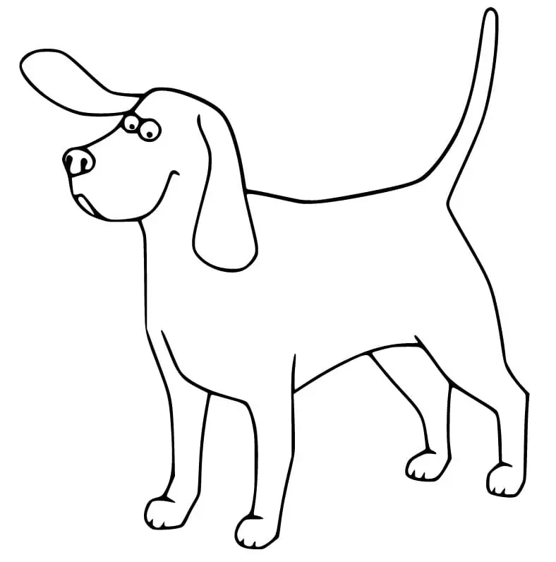 Funny Beagle Dog