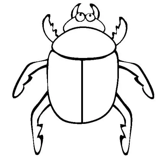 Funny Beetle