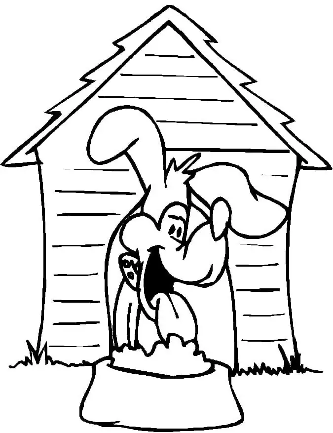 Funny Dog House