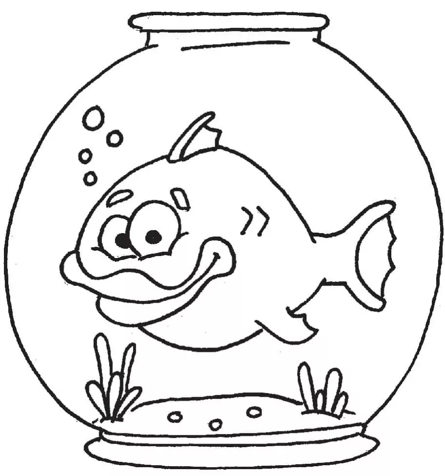 Funny Fish Bowl