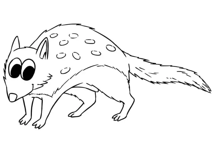 Funny Quoll