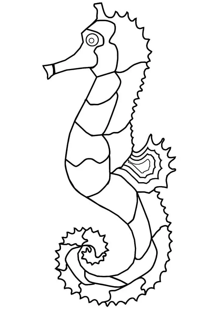 Funny Seahorse 1