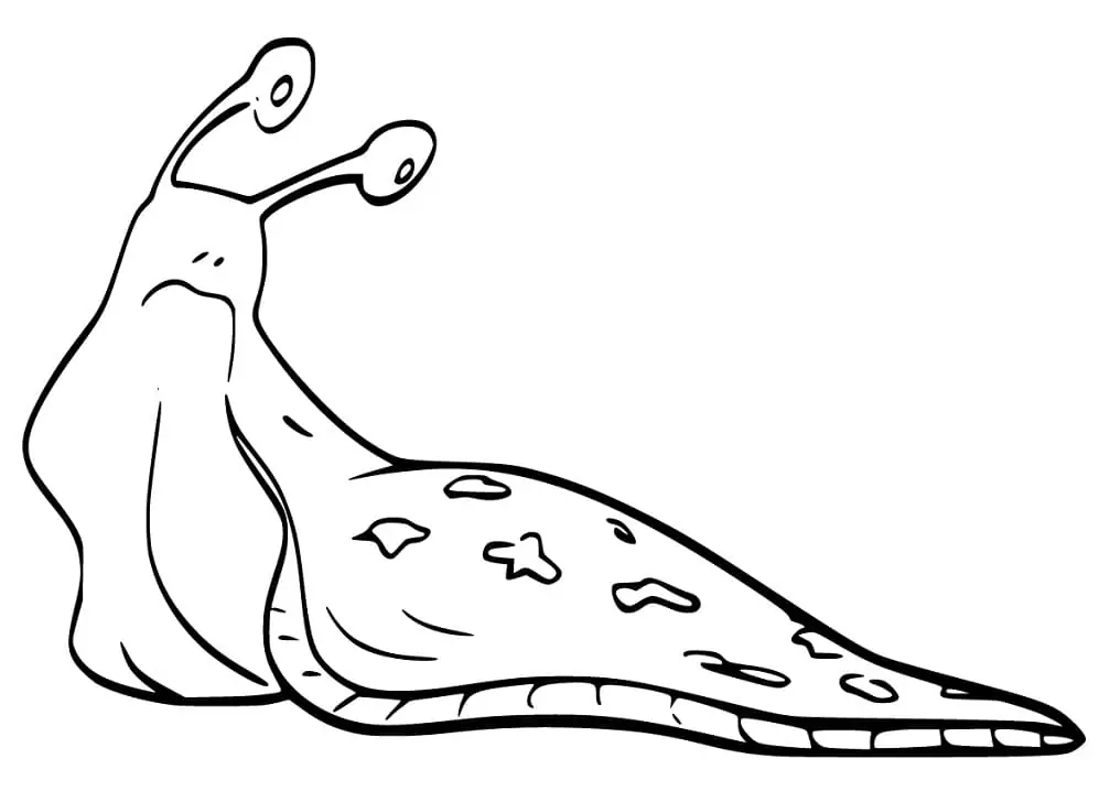 Funny Slug