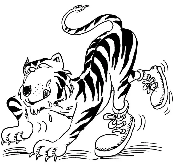 Funny Tiger with Shoes