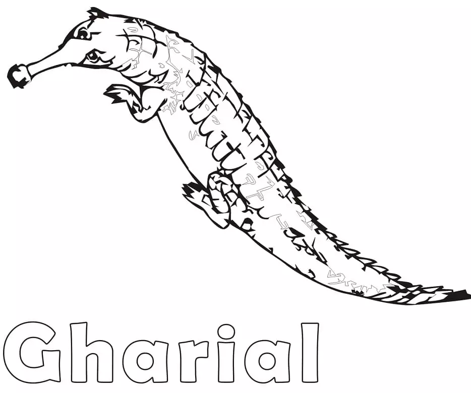 Gharial 1