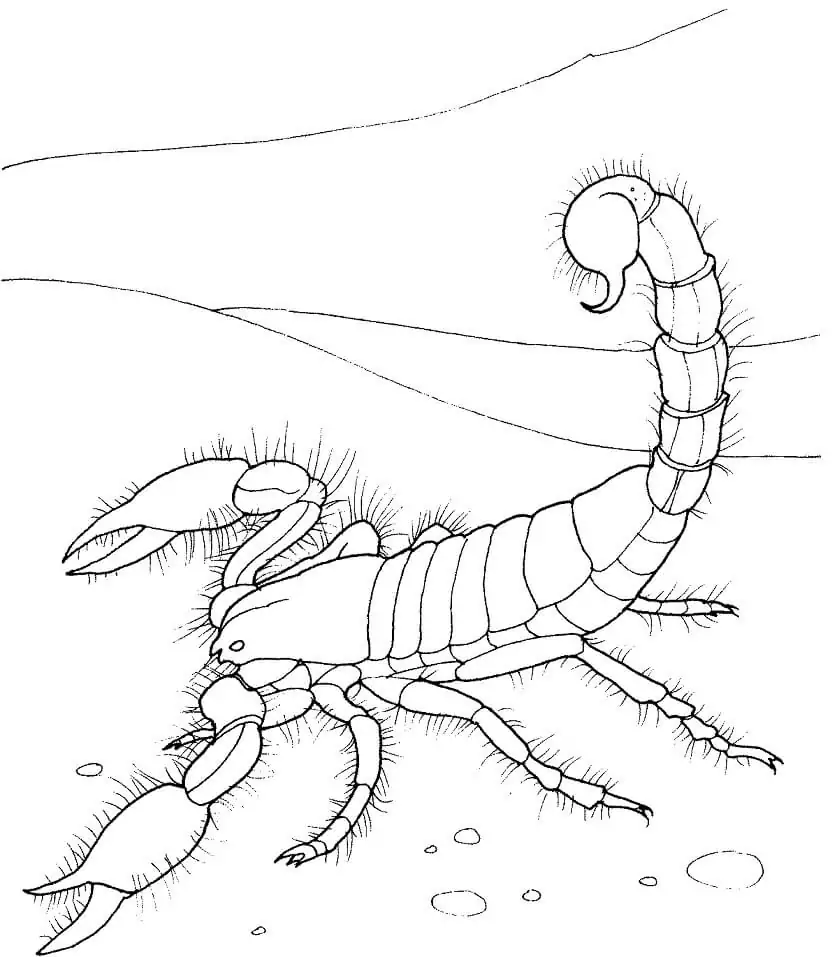 Giant Desert Scorpion
