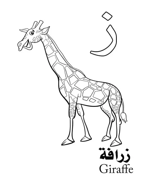 Giraffe Arabic Alphabet