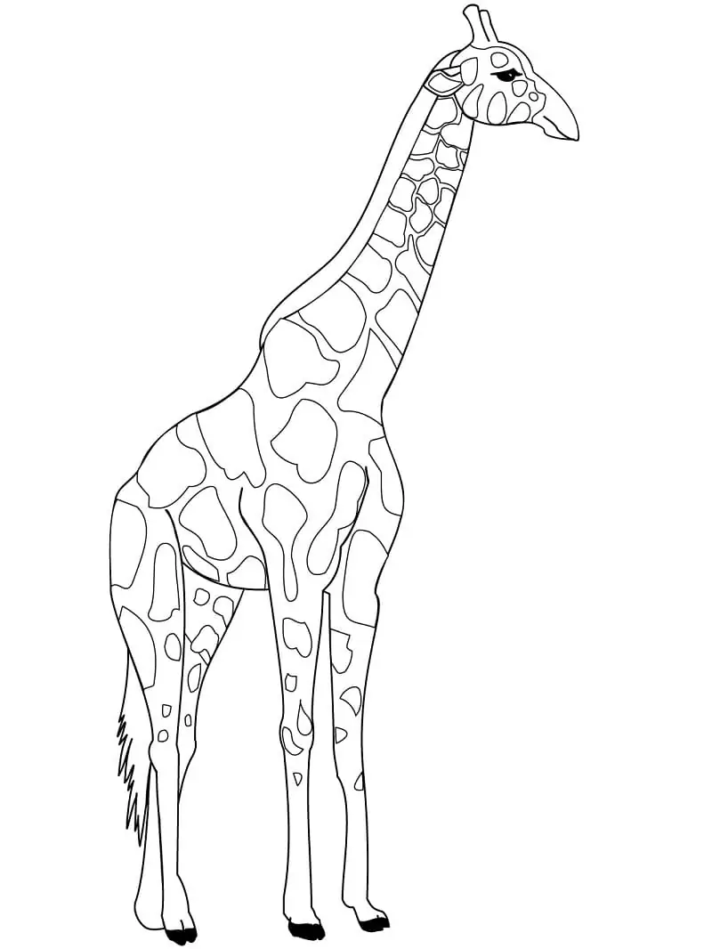 Giraffe zum Ausdrucken