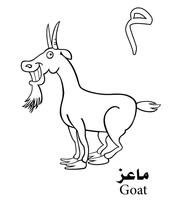 Goat Arabic Alphabet