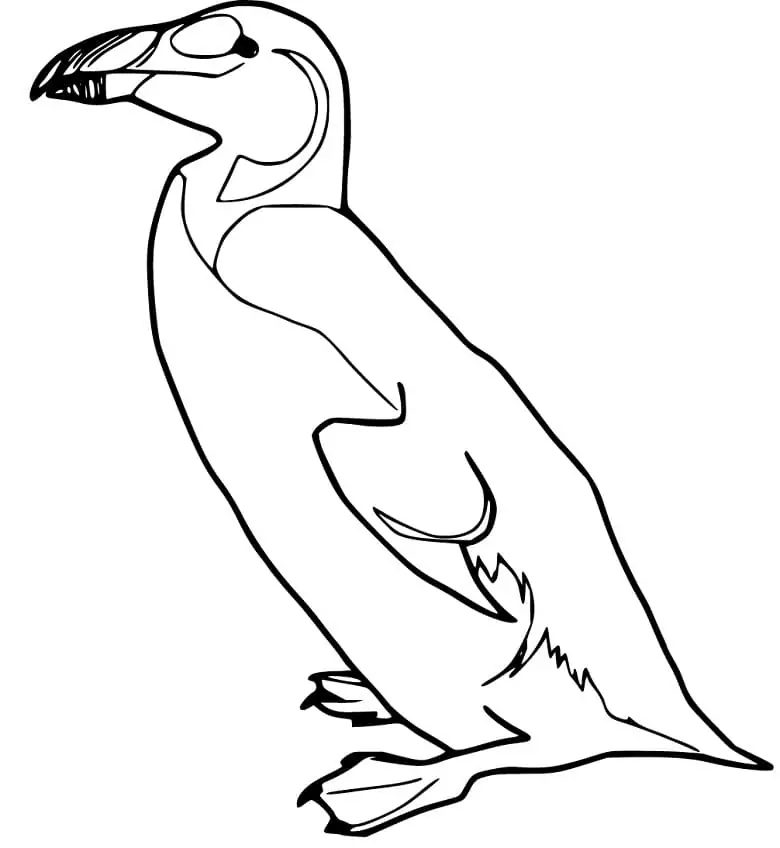 Great Auk