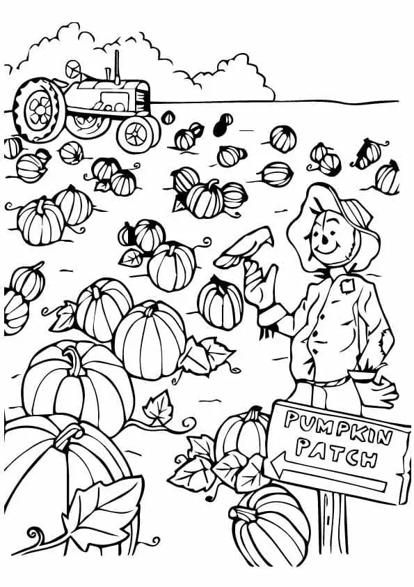 Pumpkin Patch Coloring Page