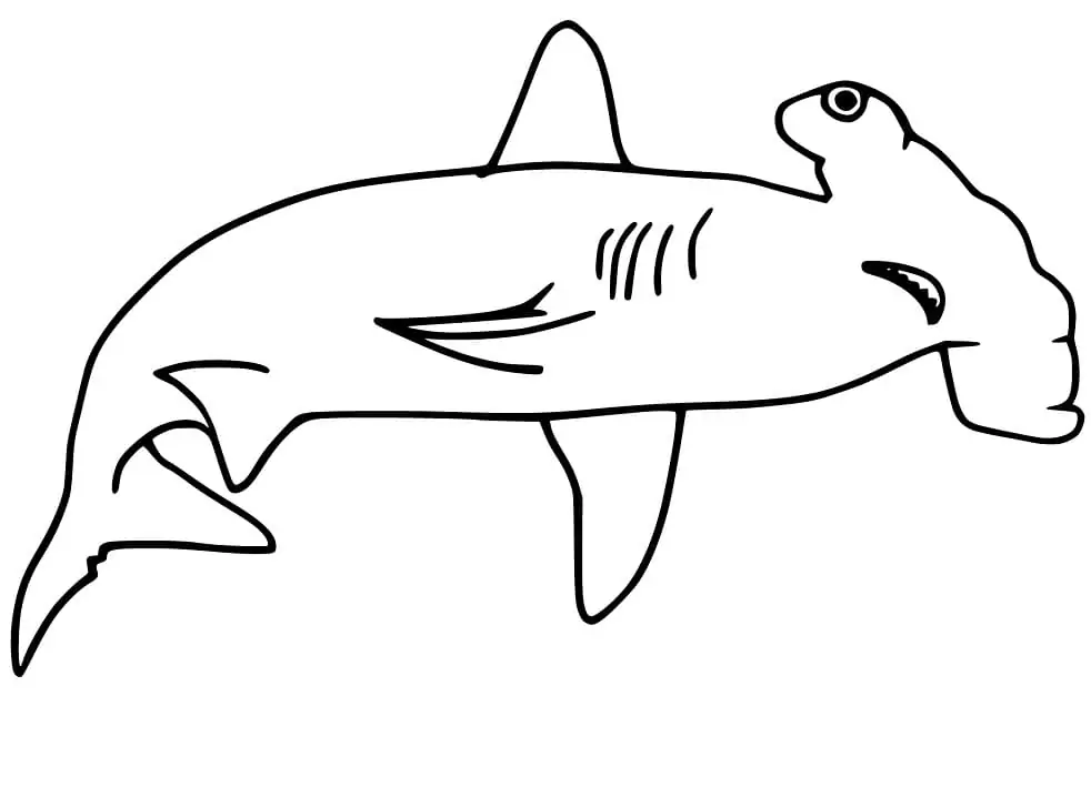 Simple Hammerhead Shark Coloring Page Free Printable Coloring Pages
