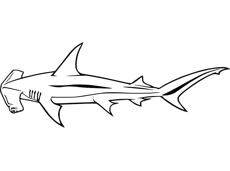 Happy Hammerhead Shark Coloring Page - Free Printable Coloring Pages ...
