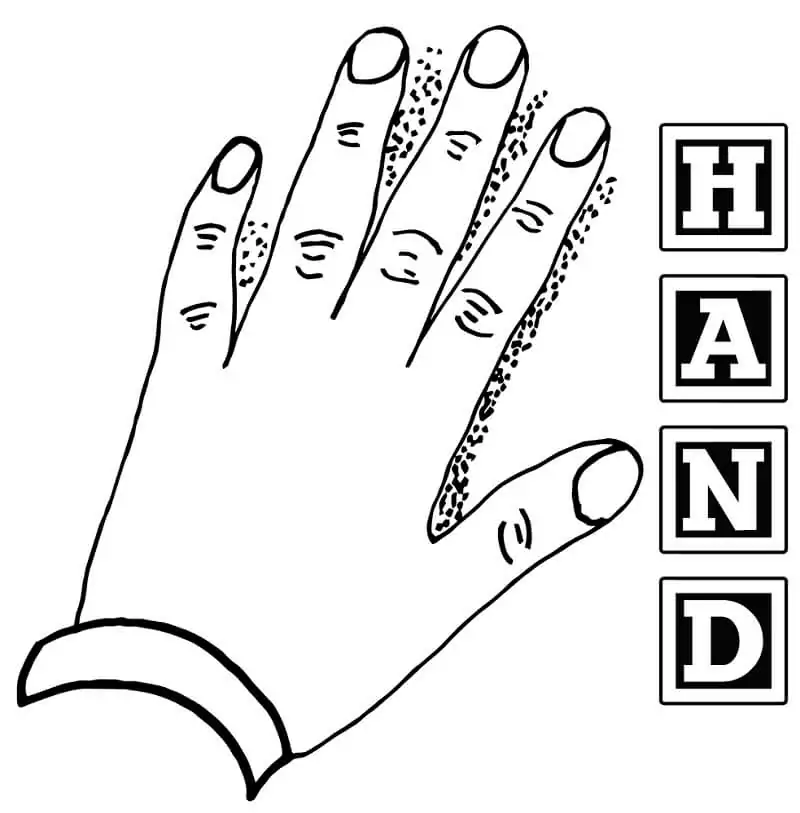 Hand 1
