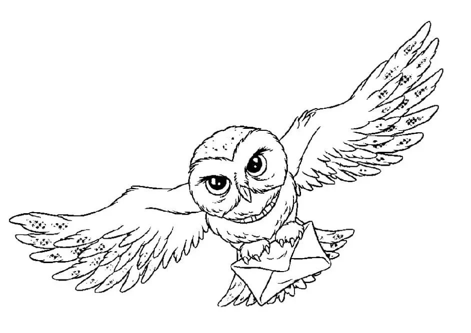 Harry Potter’s Owl