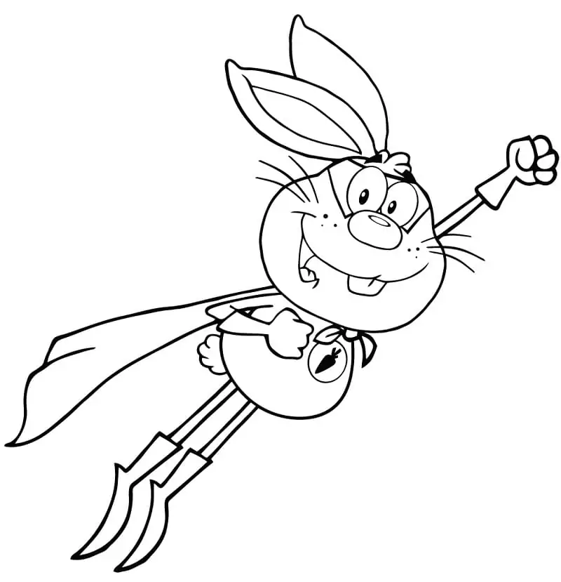 Hero Rabbit