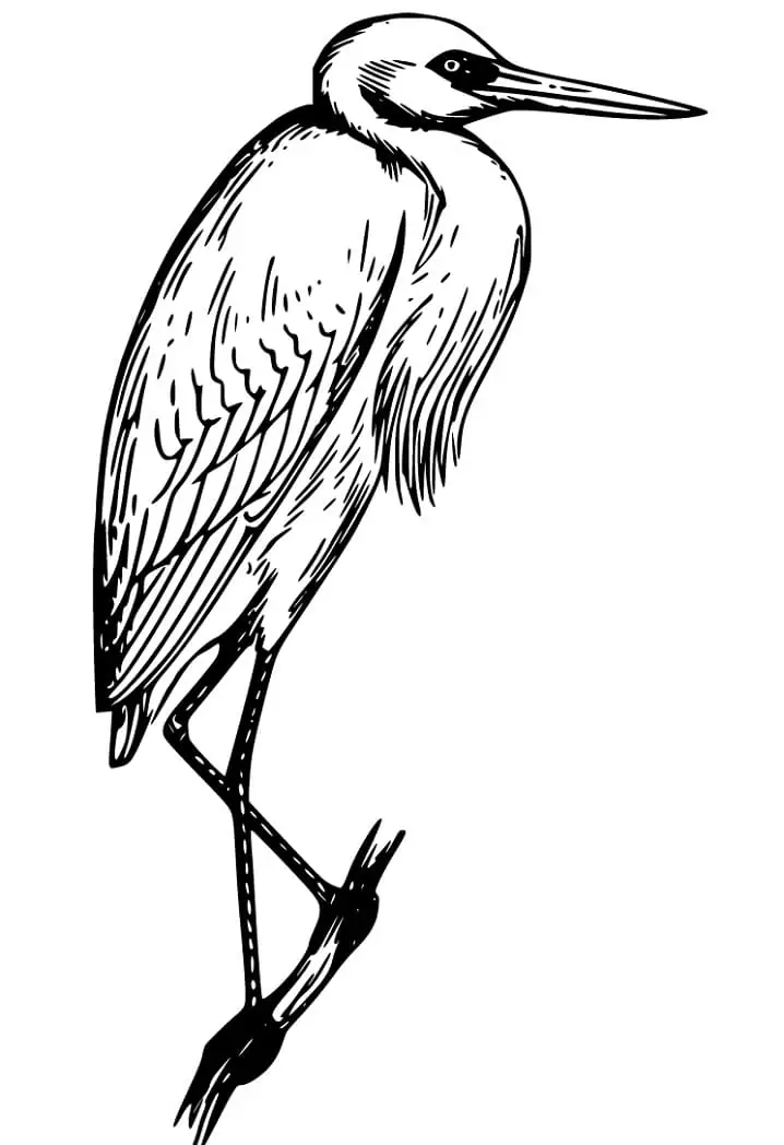 Heron and Baby Coloring Page - Free Printable Coloring Pages for Kids