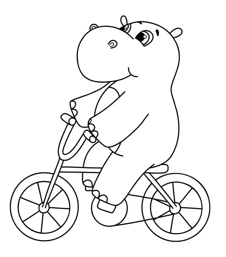 Hippo on A Bicycle