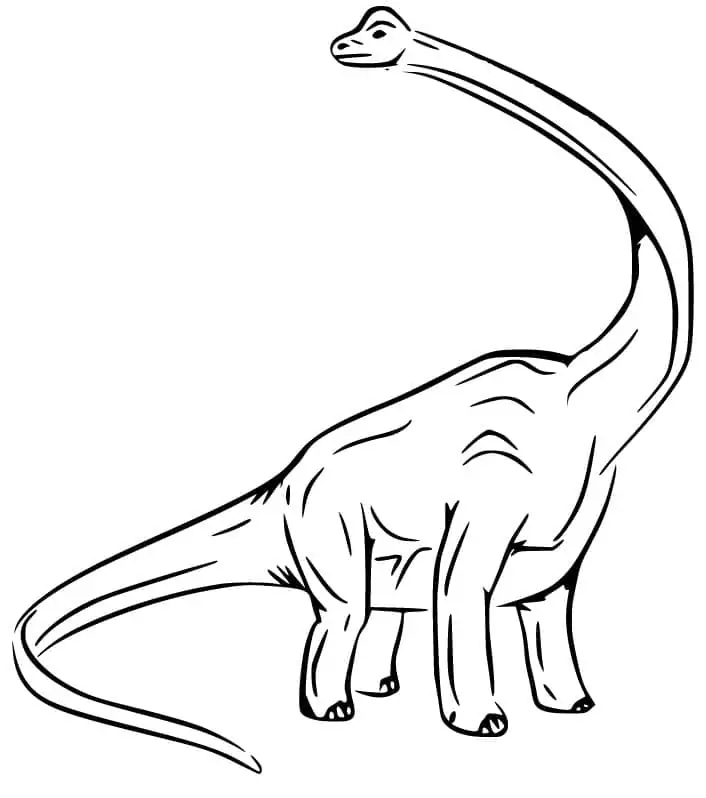 Huge Brachiosaurus