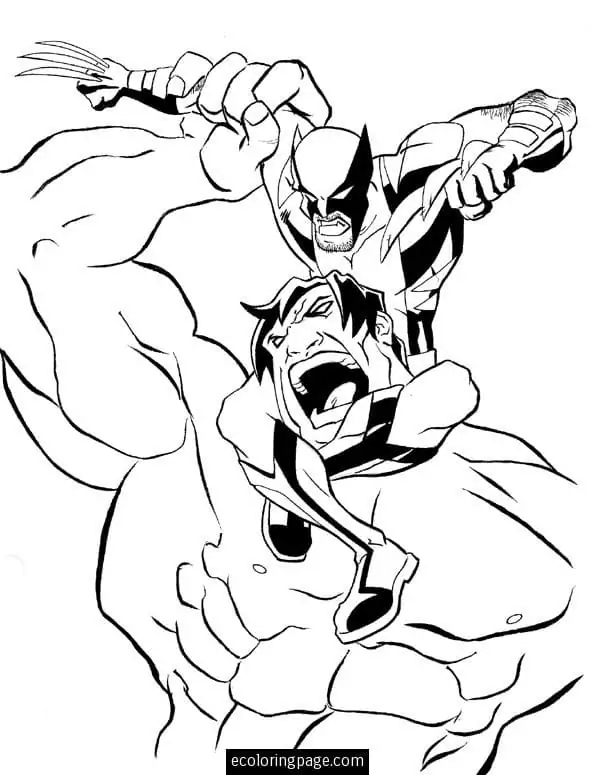 Hulk vs The Wolverine