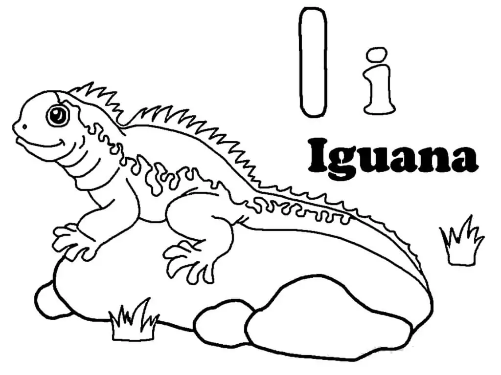 I-Iguana