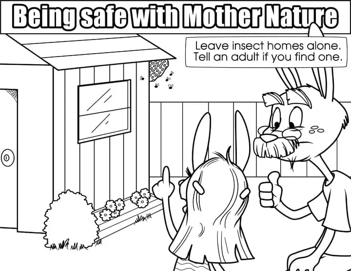 Insect Home Safety